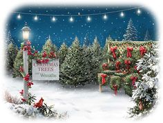 d91ba0486b8acb1ebcbc3f665533e247